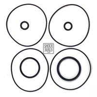 CHARLYNN FULL HYDRUALIC VALVE OR TORQUE GEN SEAL KIT 1081