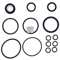 RADFLO 3.0" SEAL KIT W/ 1" SHAFT